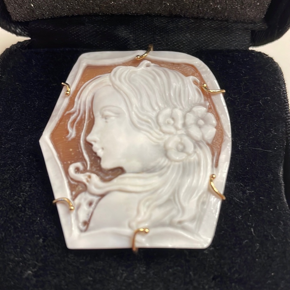 Gorgeous cameo pin/pendant - Picture 1 of 7